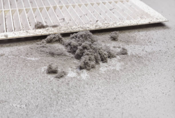 Best HVAC Duct Inspection Services  in Forest Hill, TX