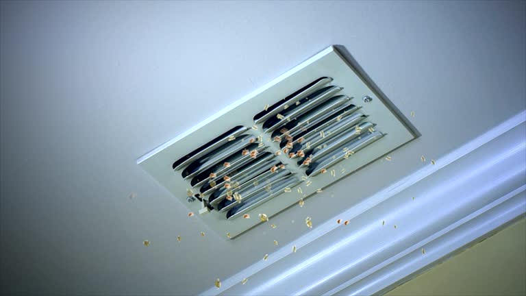 Best Commercial Air Duct Cleaning  in Forest Hill, TX