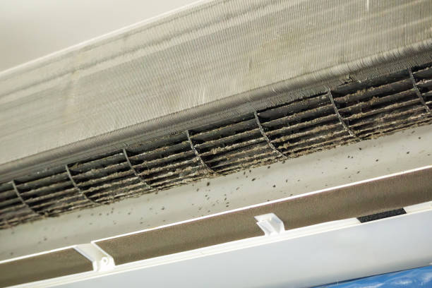 Best Residential Air Duct Cleaning  in Forest Hill, TX